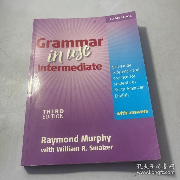 Grammar in Use Intermediate