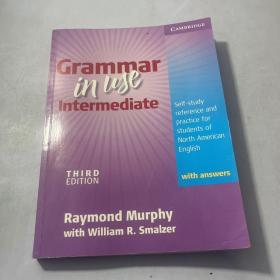 Grammar in Use Intermediate