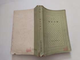 绿衣亨利 上
