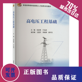 高電壓工程基礎(chǔ) 9787512443839