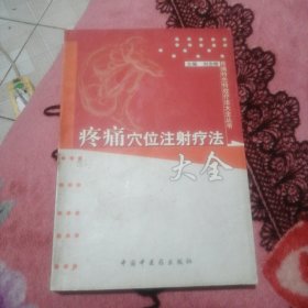 疼痛穴位注射疗法大全——疼痛特色特效疗法大全丛书