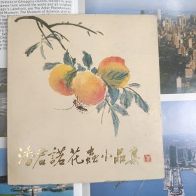 潘君诺花虫小品集