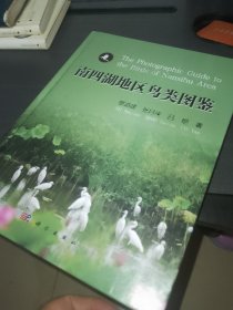 南四湖地区鸟类图鉴