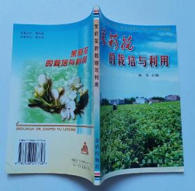 茉莉花的栽培与利用