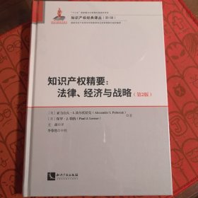 知识产权精要：法律、经济与战略（第2版）