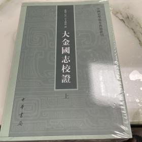 大金国志校证（上下）（中国史学基本典籍丛刊）