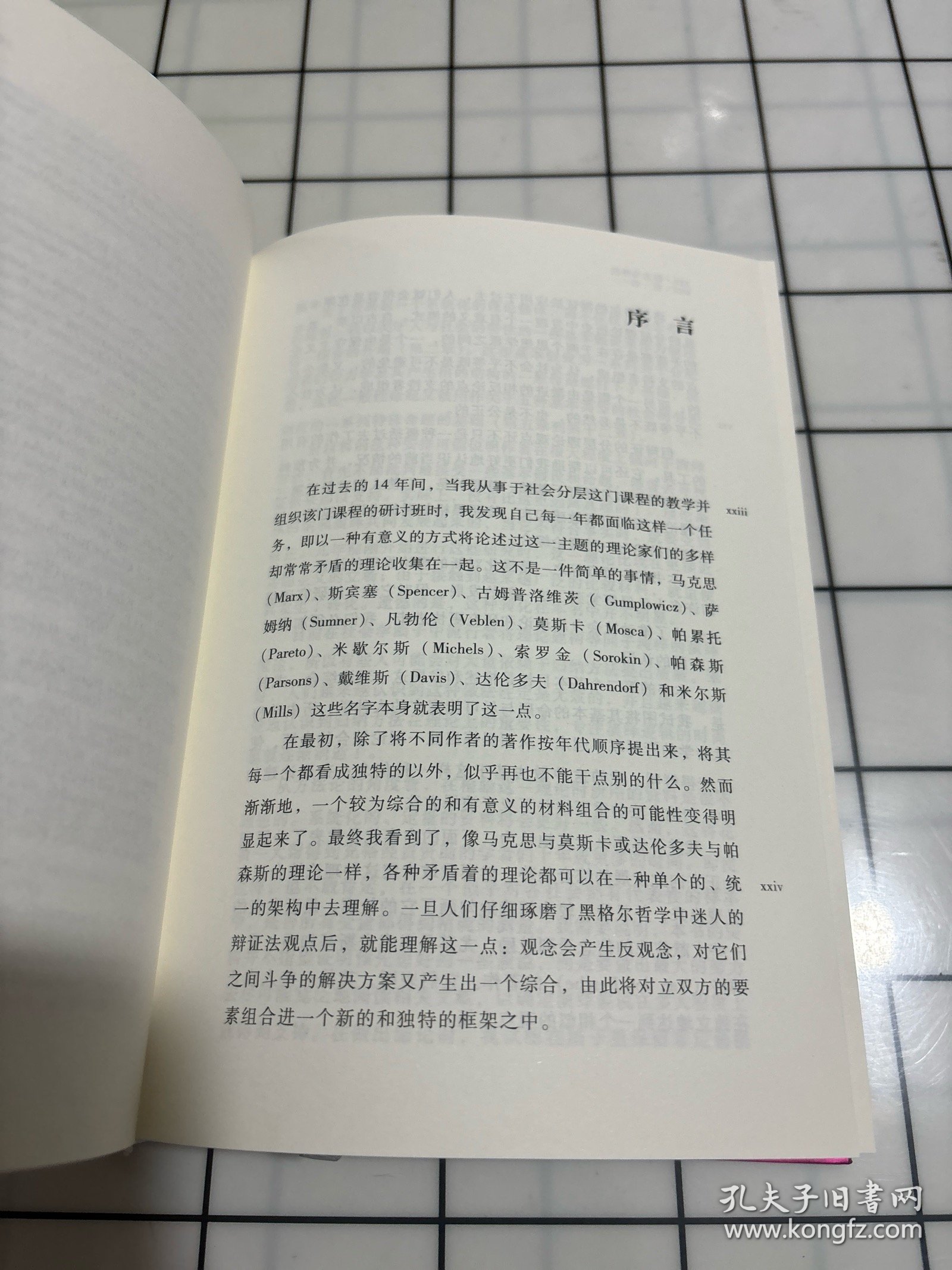 权力与特权:社会分层的理论