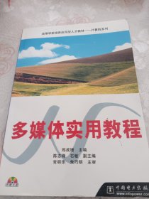 多媒体实用教程(含盘)