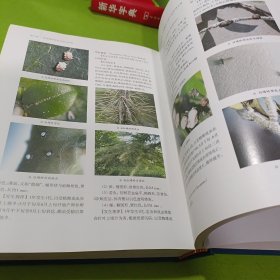 城市绿地有害生物预警及控制 如图现货速发