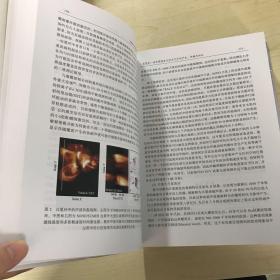 10000个科学难题·天文学卷（一版一印）