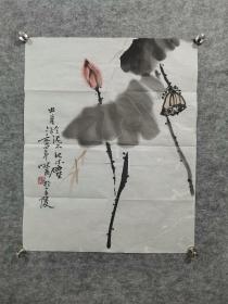 写意荷花  高冠华老师写意作品。