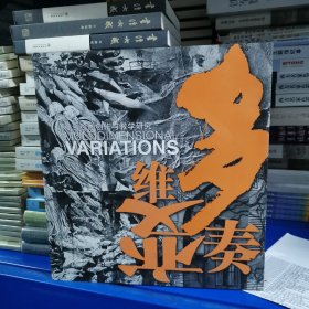 多维变奏