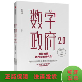 数字政府2.0：数据智能助力治理现代化