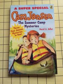 Cam Jansen and the Summer Camp Mysteries