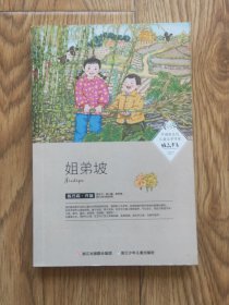 中国新生代儿童文学作家精品书系：姐弟坡
