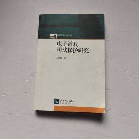 电子游戏司法保护研究