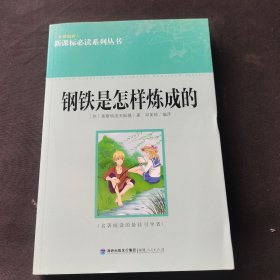 钢铁是怎样炼成的