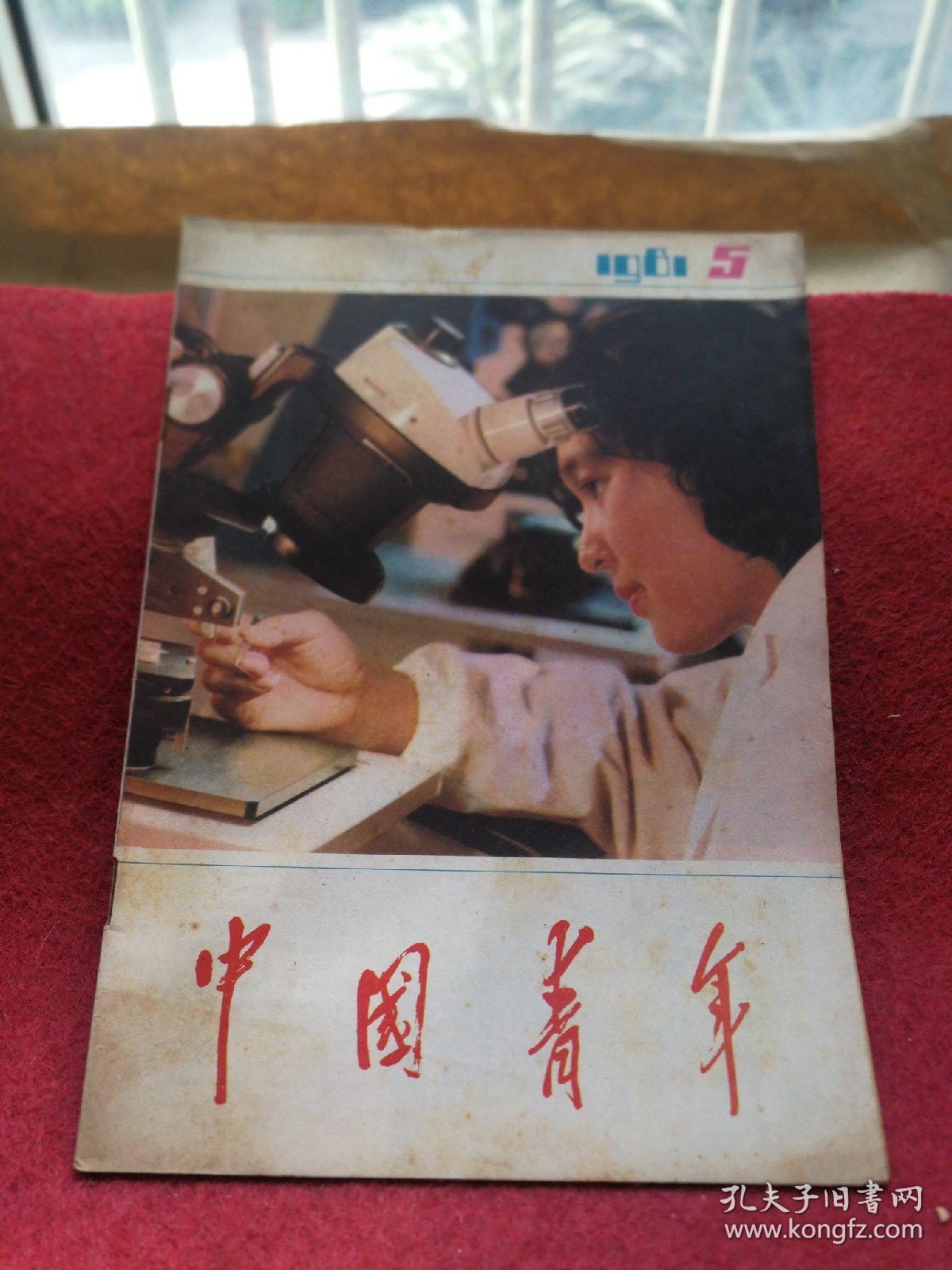 中国青年1981 5