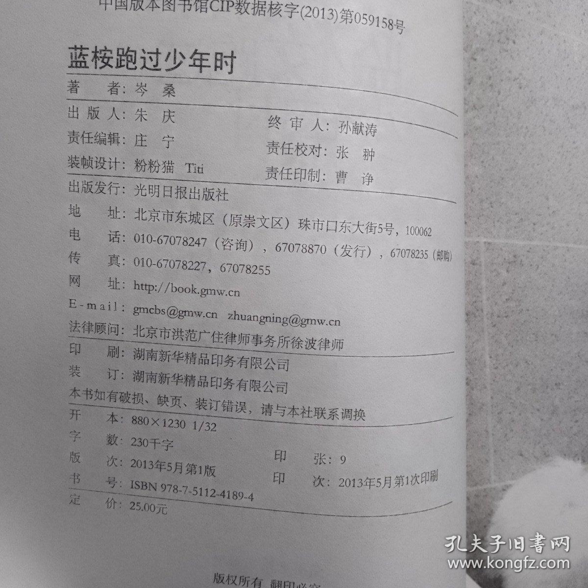 蓝桉跑过少年时