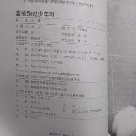 蓝桉跑过少年时