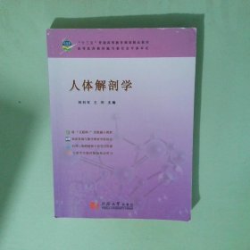 人體解剖學(xué)