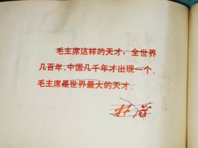 华东水利学院《毛主席是我们心中的红太阳》，照片黏贴