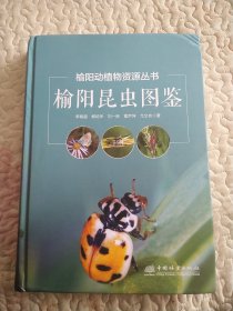 榆阳昆虫图鉴