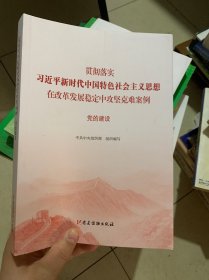 党的建设（贯彻落实习近平新时代中国特色社会主义思想在改革发展稳定中攻坚克难案例）