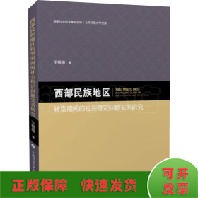 西部民族地区转型期间的社会稳定问题实务研究/北方民族大学文库