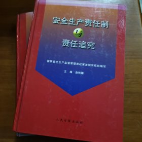 安全生产责任制与责任追究（上下二册全合售）（放阁楼位）