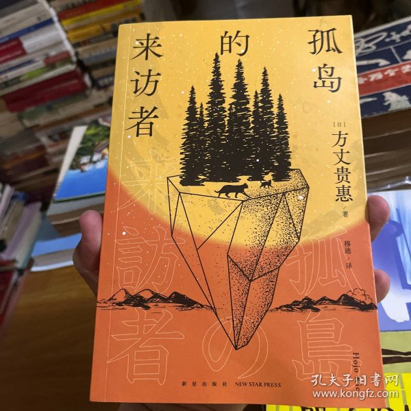 孤岛的来访者（《时空旅行者的沙漏》系列第二弹 ，第29届鲇川哲也奖获奖作）午夜文库出品