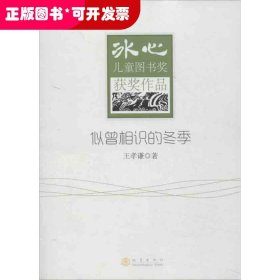 冰心兒童圖書獎獲獎作品：似曾相識的冬季（青少年讀物）