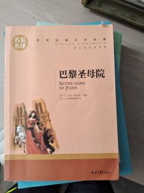 巴黎圣母院 名家名译世界经典文学名著 原汁源味读原著