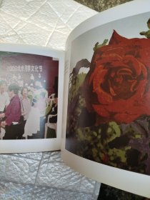 高仁岐 月季的故事