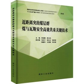 近距离突出煤层群煤与瓦斯安全高效共采关键技术