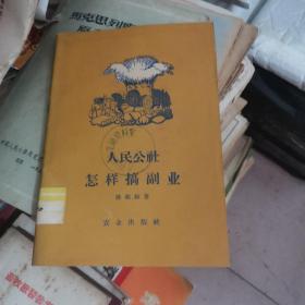 人民公社怎样搞副业