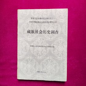 藏族社会历史调查 （三）