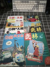 少林与太极1994年珍藏本94增刊.94年4期.1996年1.2.3，武林1982年6.7，1994年3.10，9本16开