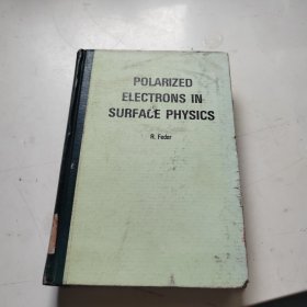 POLARIZED ELECTRONS IN SURFACE PHYSICS表面物理中的极化电子（英文版）