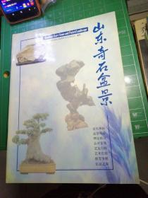 山东奇石盆景复刊号