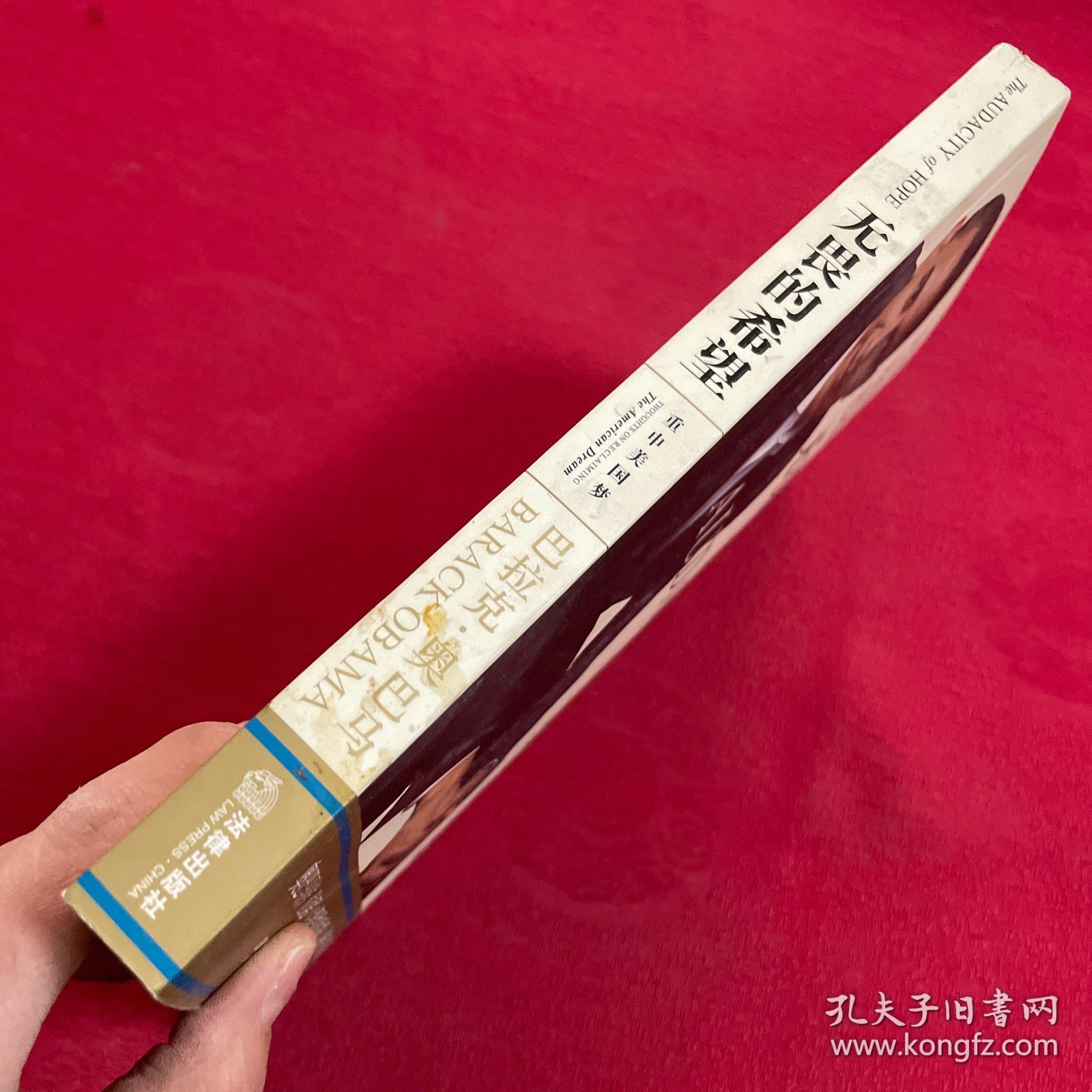 无畏的希望：重申美国梦