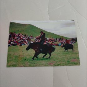 李长锁艺术摄影：赛耗牛（中国民间体育摄影大展）
