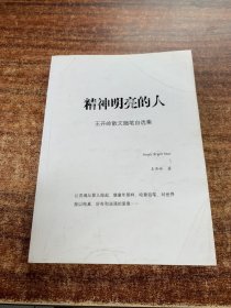 精神明亮的人:王开岭散文随笔自选集