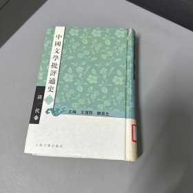 中国文学批评通史陆：清代卷（脊梁上部破损，书籍自然老化黄斑不影响阅读）