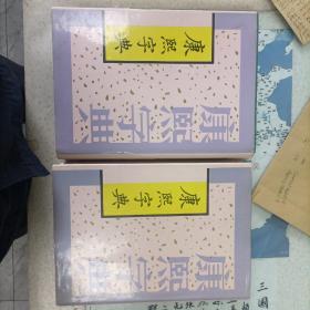 康熙字典（上下）（2500册）