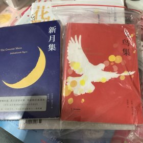 新月集(英汉对照)飞鸟集
两本一起卖几乎全新
新月集未拆封