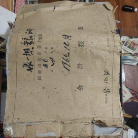 国营粮食企业娘娘坝粮所1965年全年会计报表