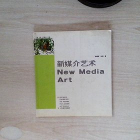 新媒介艺术——西方后现代艺术流派书系