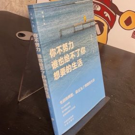 致奋斗者-你不努力谁也给不了你想要的生活