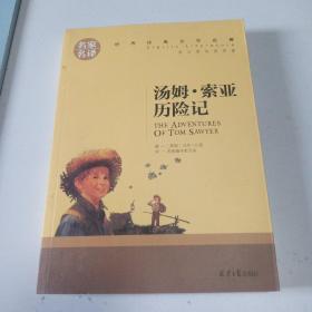 汤姆索亚历险记 名家名译世界经典文学名著 原汁原味读原著